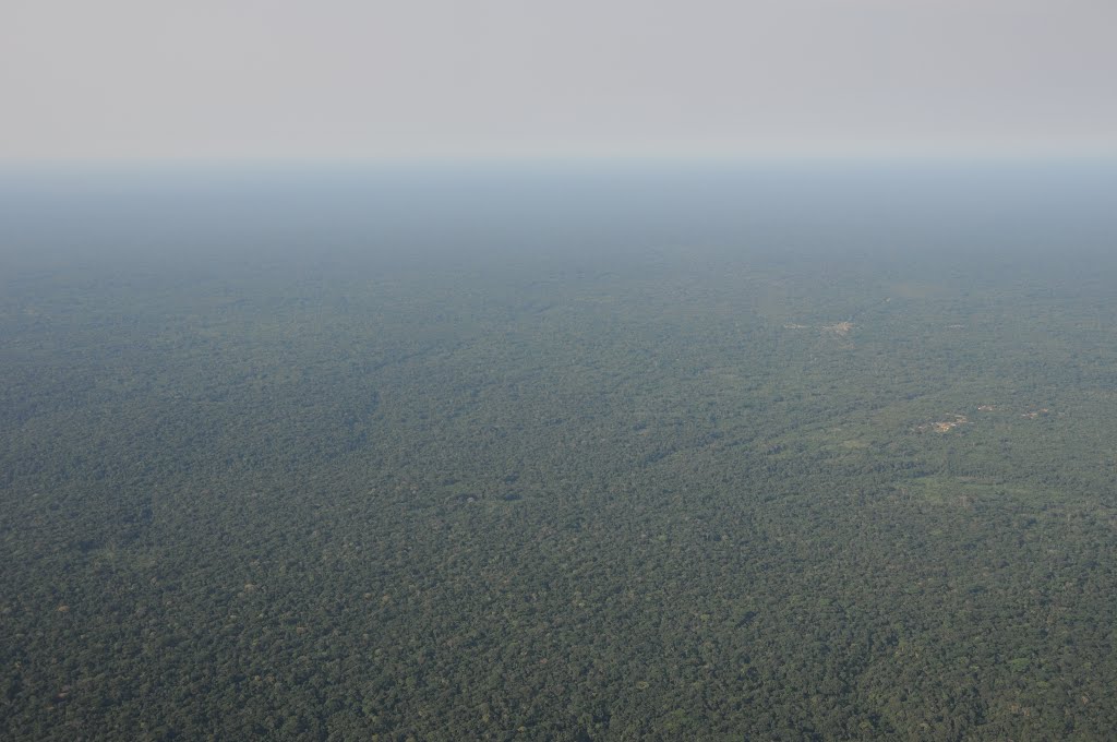 Aerial View, Equatorial Forest, Боко