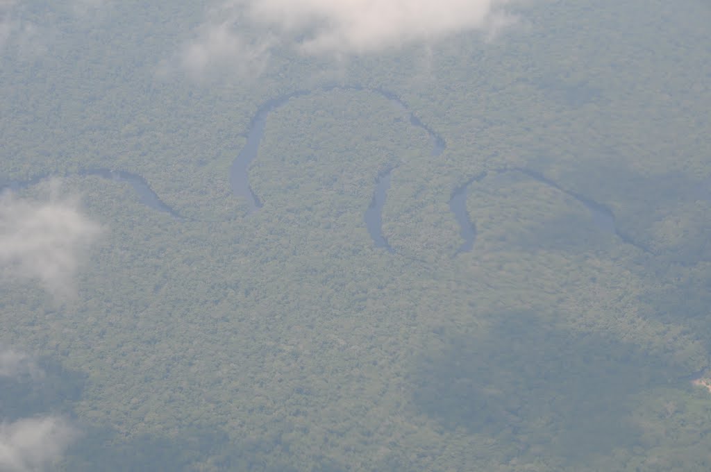 Aerial View, Lomako Wildlife Reserve, Боко