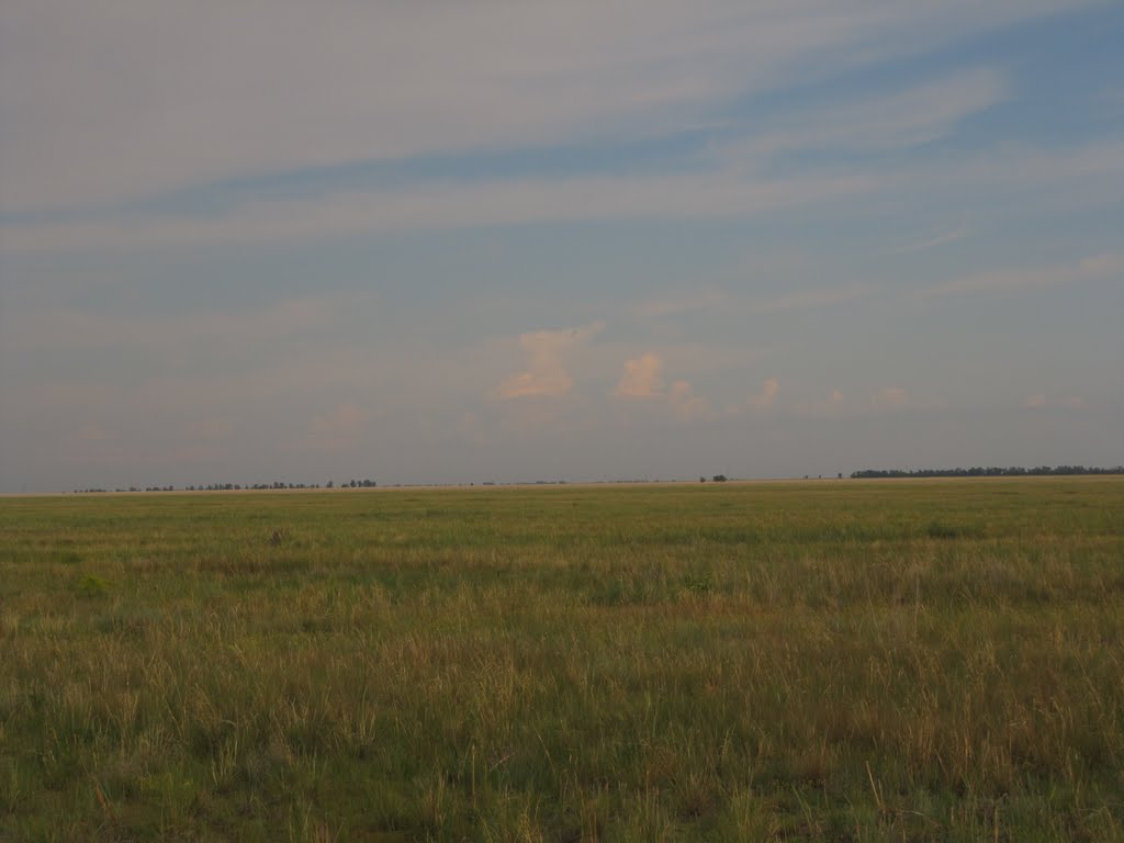 Южная часть Бель-Агачской степи в районе н.п. Дюсекен. Southern parts of Bel-Agach steppe near Duseken village., Бородулиха