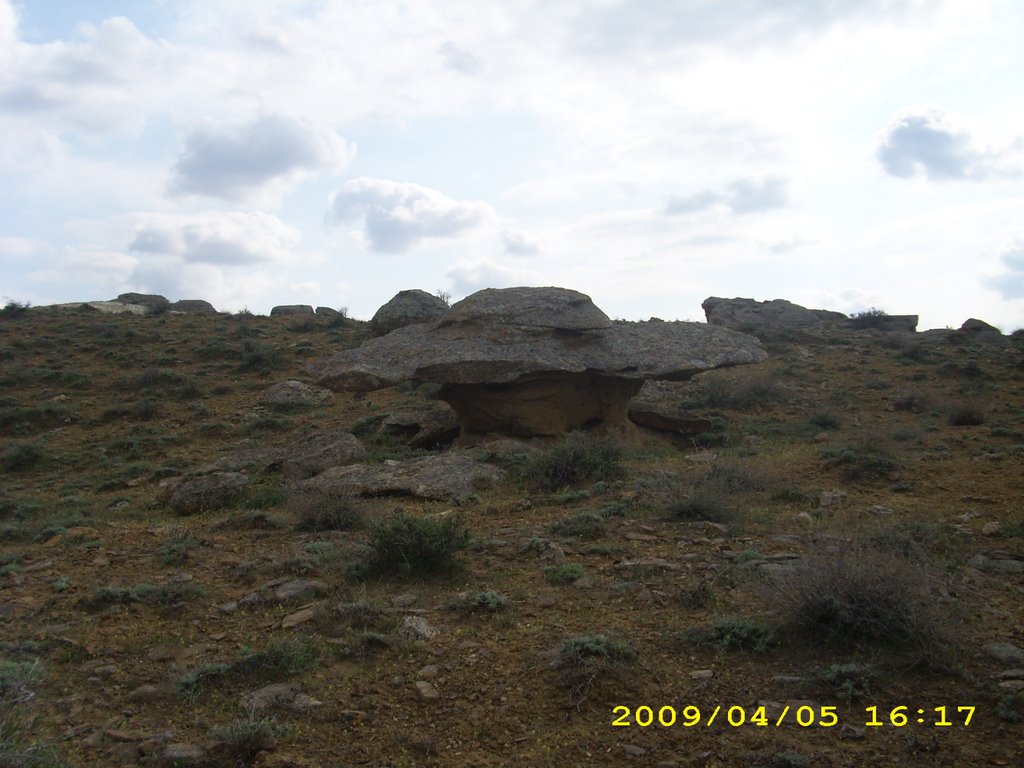 Камень-гриб, Жарма