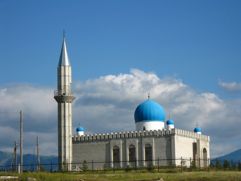 Мечеть в Большенарымском (июль 2010г.), Андреевка