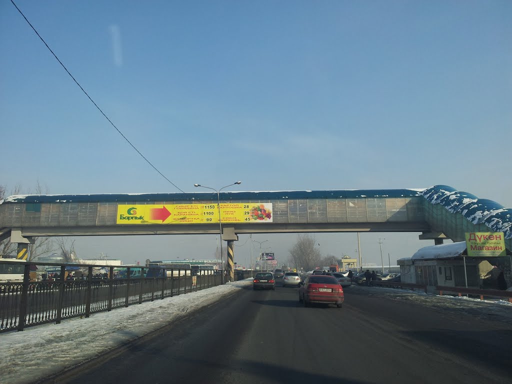 Пешеходный мостик на Алтын-Орде, Карабулак