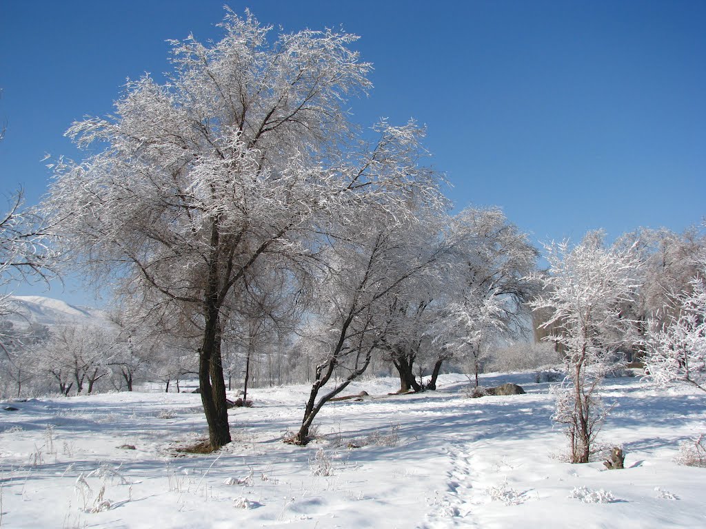 В  нашем парке зима ..., Текели