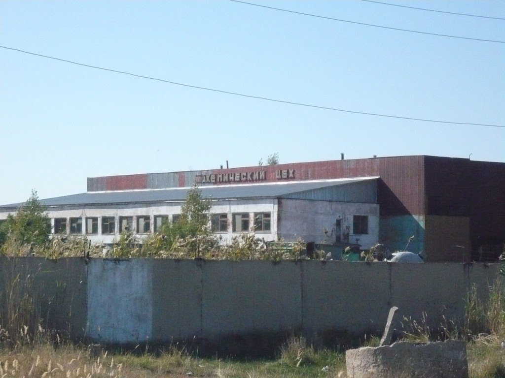 Завод имени Ленина, Макинск