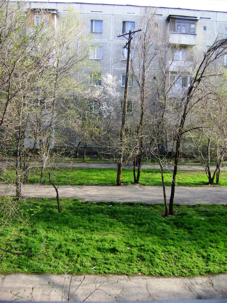 view from the window, Аршалы