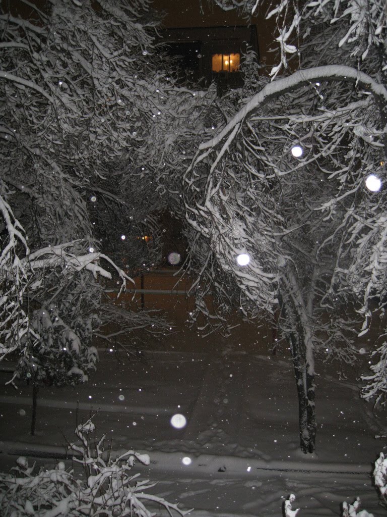 Beauty of Almatys winter, Аршалы