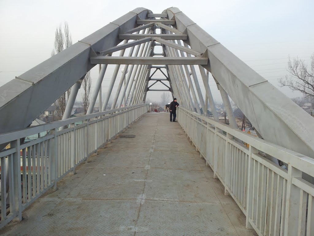 Пешеходный мостик на Рыскулова - Емцова, Аршалы