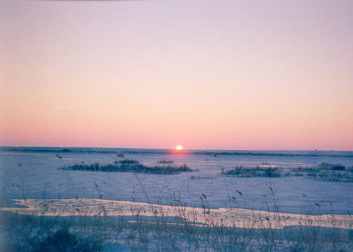 Байконур, рассвет на р. Сырдарья, январь 2001 г., Байконур