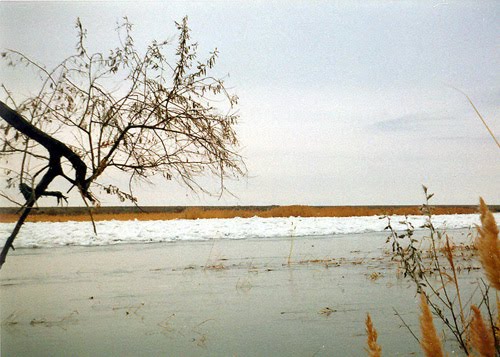 Байконур, р. Сырдарья, предзимье, конец 1990-х гг., Байконур