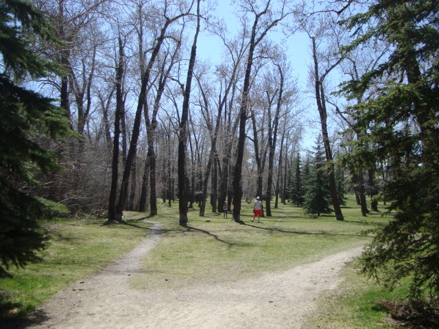 in the park, Калгари