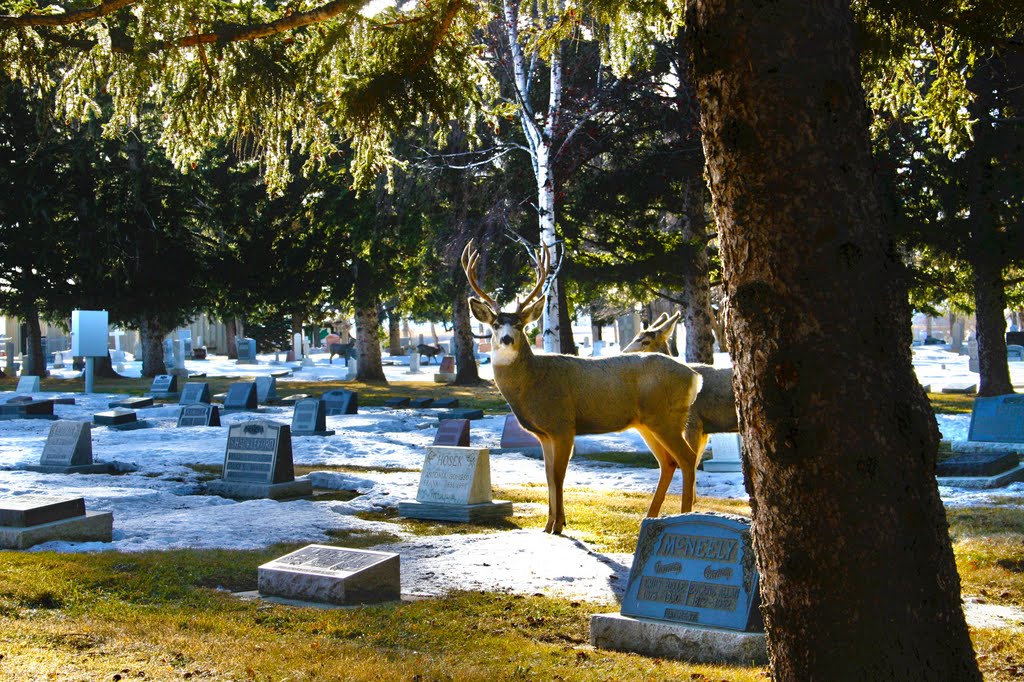 Mountain View Cemetery, Летбридж