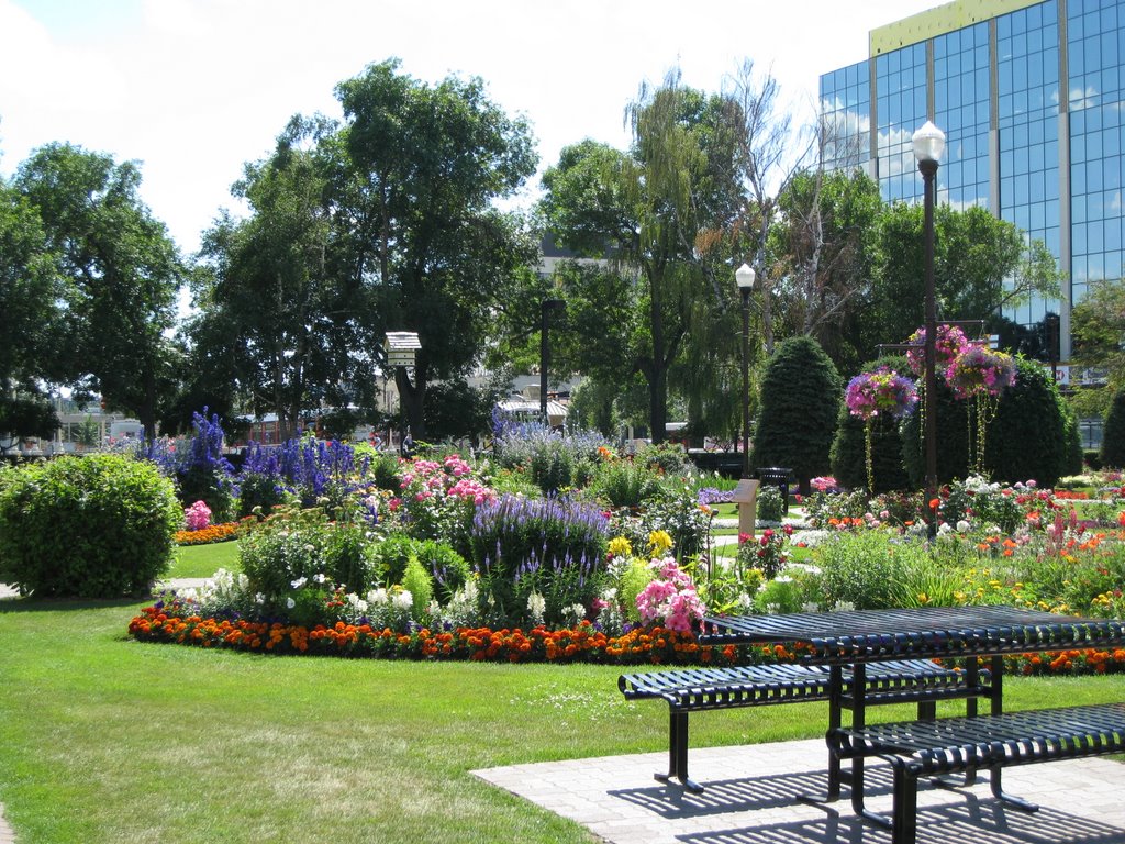 Flowers at City Hall Park, Ред-Дир