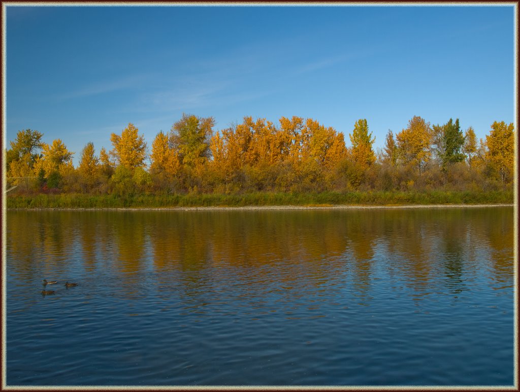 Red Deer River Fall Colors, Ред-Дир