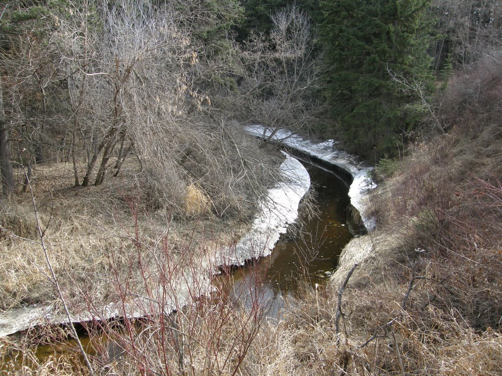 Piper Creek, Ред-Дир