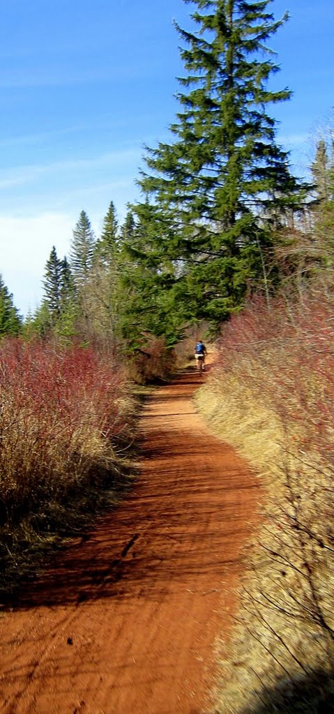 Barrett Park Trail, Ред-Дир
