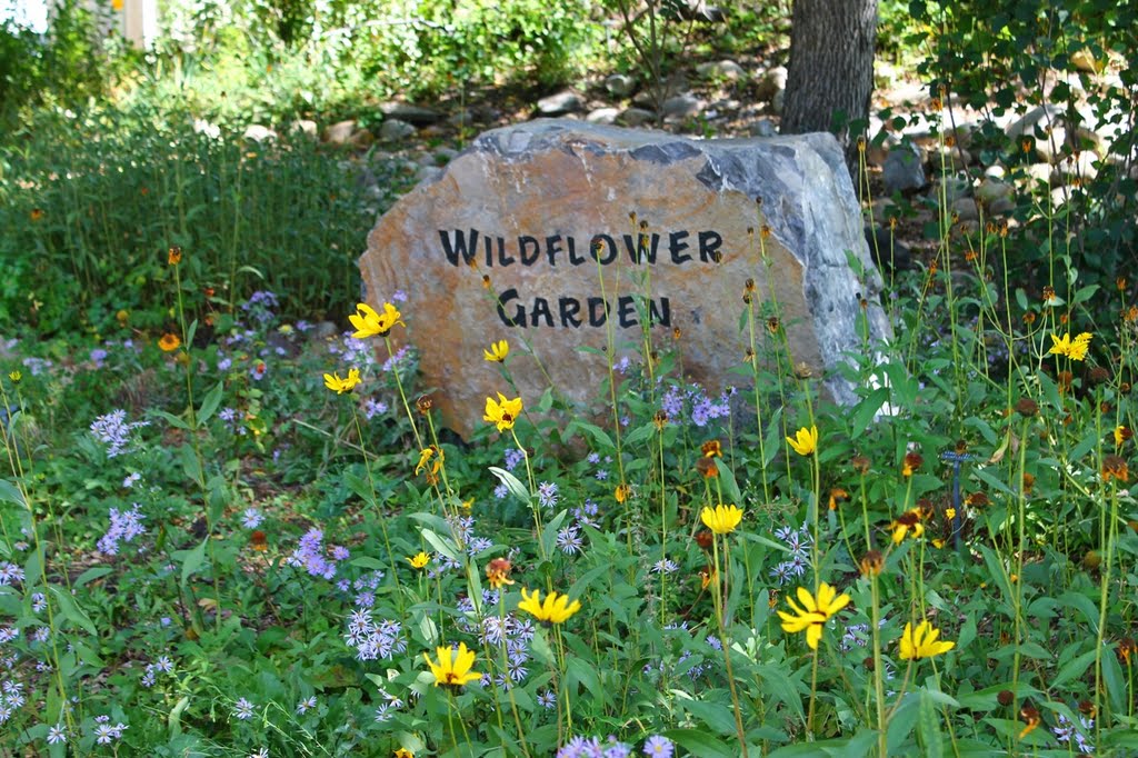 Wild Flower Garden, Kerry Wood Nature Centre, Ред-Дир