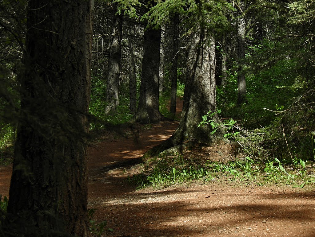 Red Shale Deer Trail, Ред-Дир