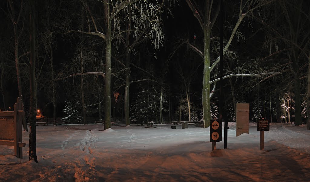 Waskasoo Park, Winter Night, Ред-Дир