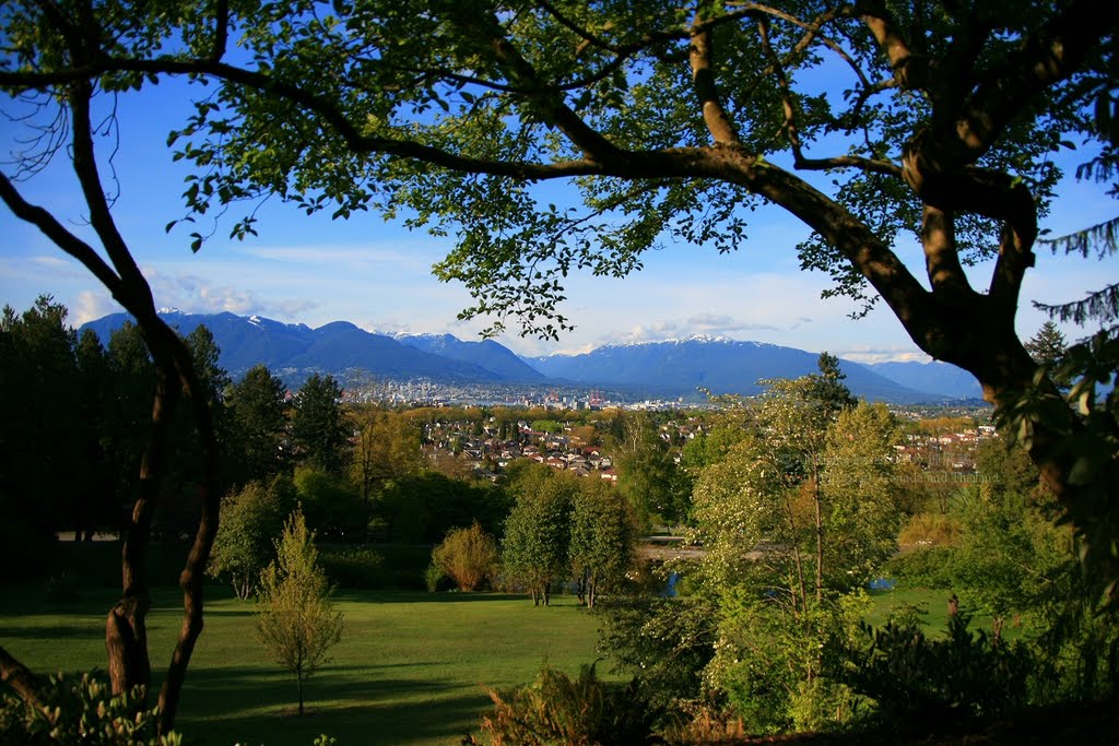 Looking over "the Couv" from Queen Elizabeth Park, Vancouver B.C., Ванкувер