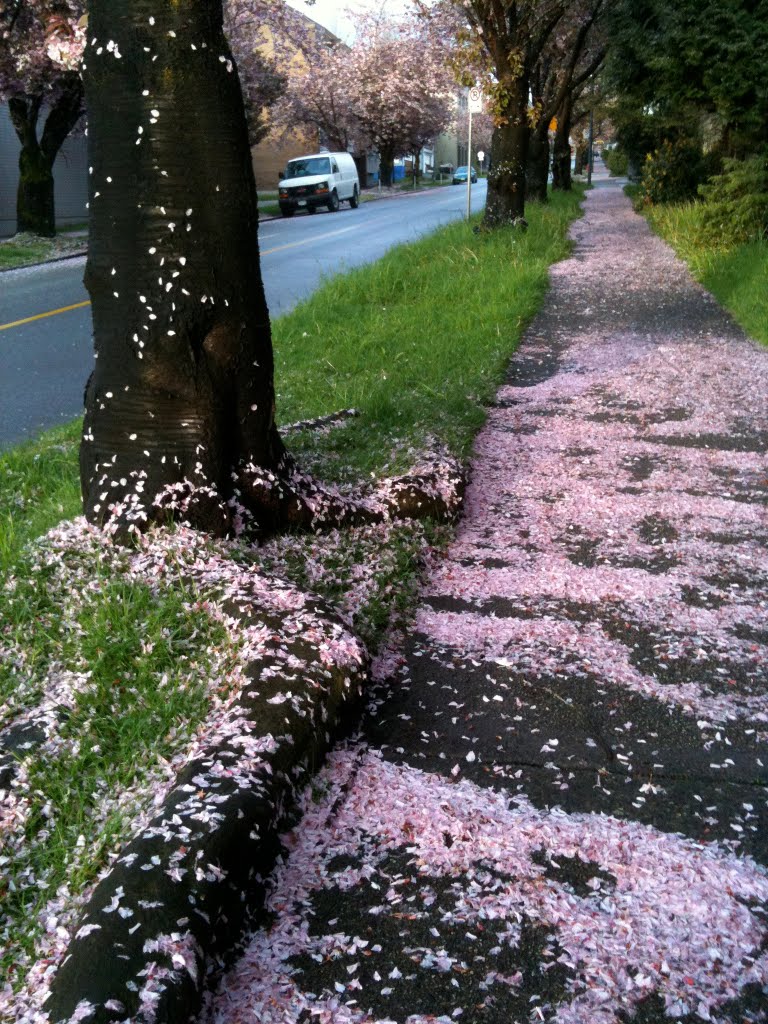 The street has a carpet., Ванкувер