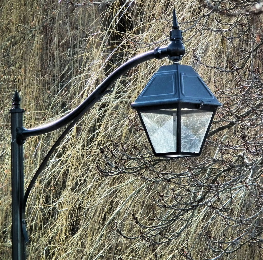 Lamp-post in Polson Park, Вернон