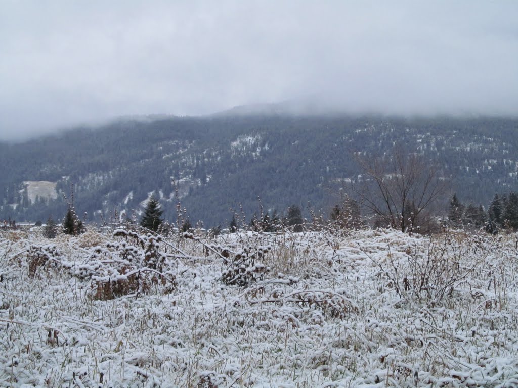 Moody Mountains And Snowy Valley Meadows In Vernon BC Dec 11, Вернон