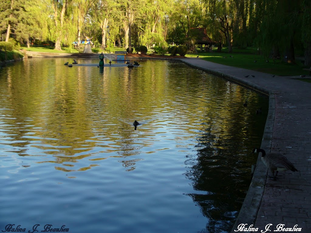 By the pond, Вернон