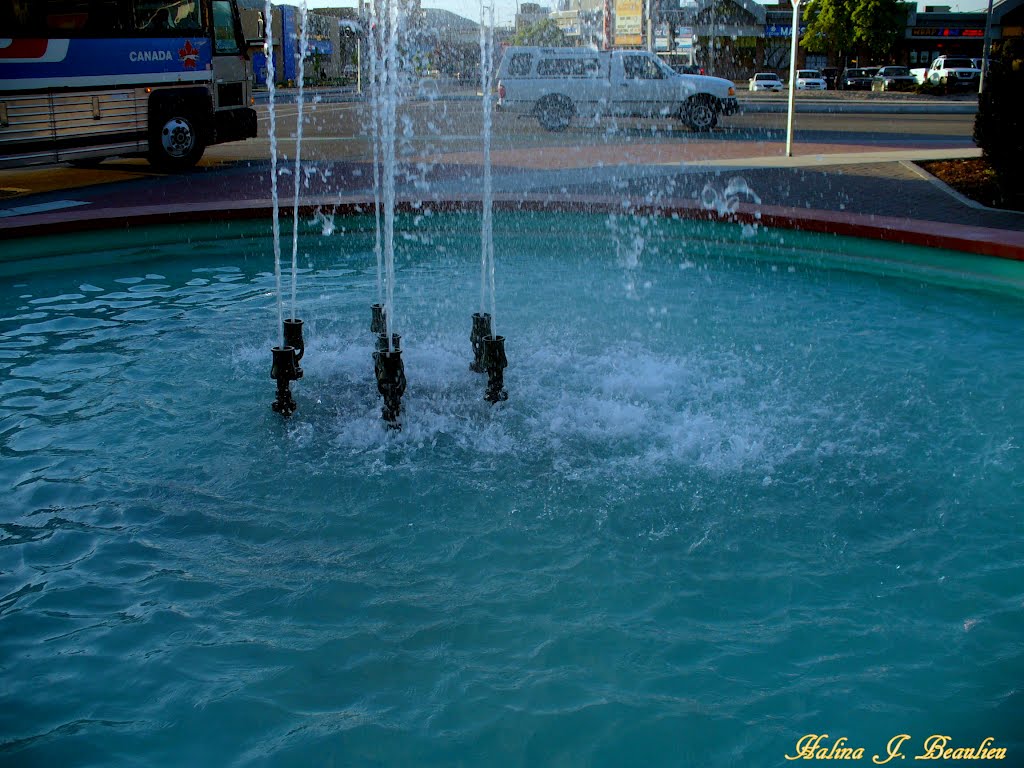 Fountain, Вернон