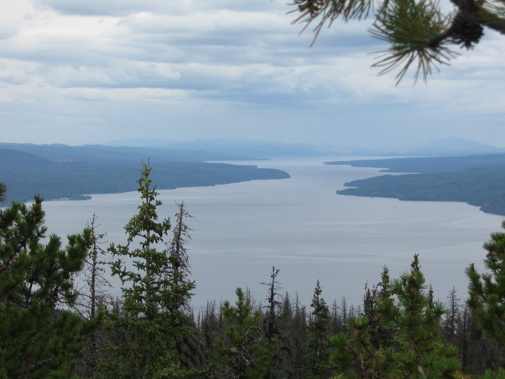looking NW down Babine Lake,  BCs largest, Дельта