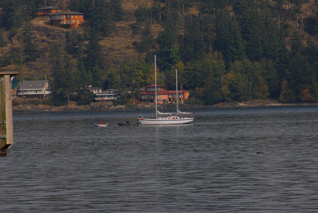 Dinghy Towing a Sailboat, Кампбелл-Ривер
