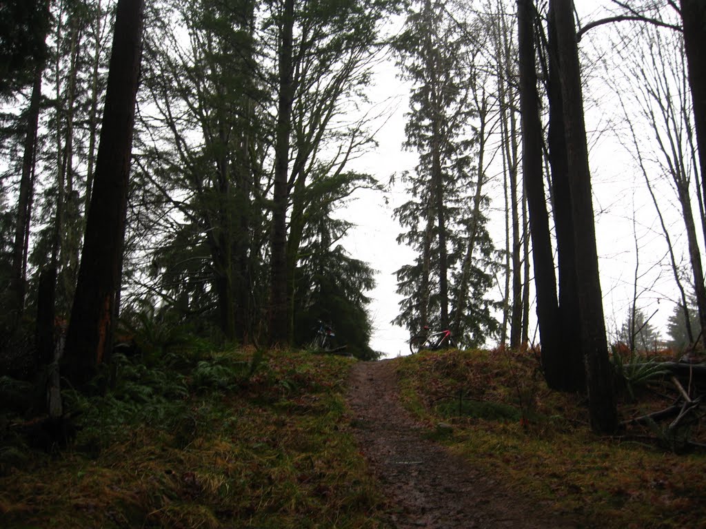 Croation Trail, Кампбелл-Ривер