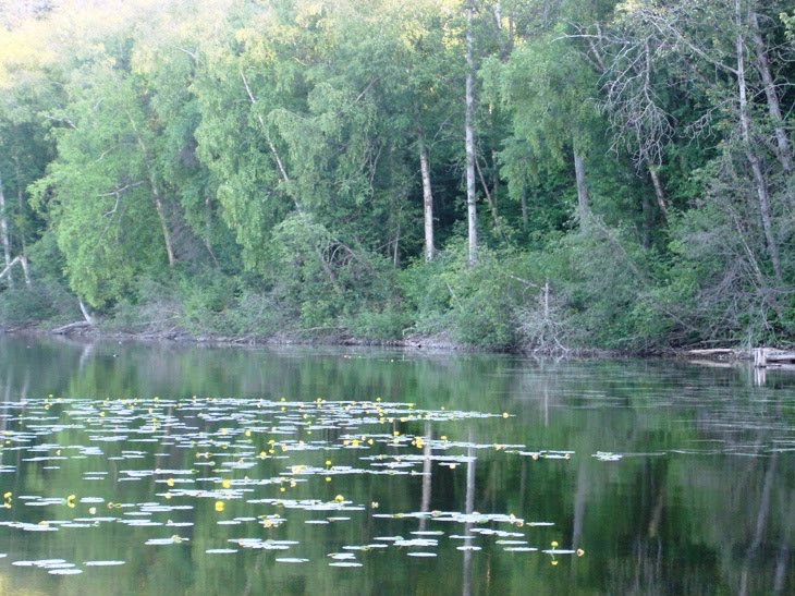 Francois Lake, Миссион-Сити