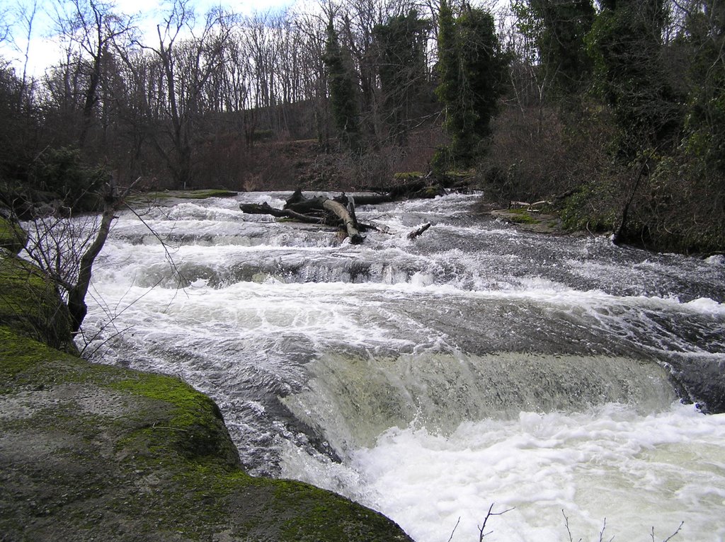 Millstone River rapids near estuary, Нанаимо