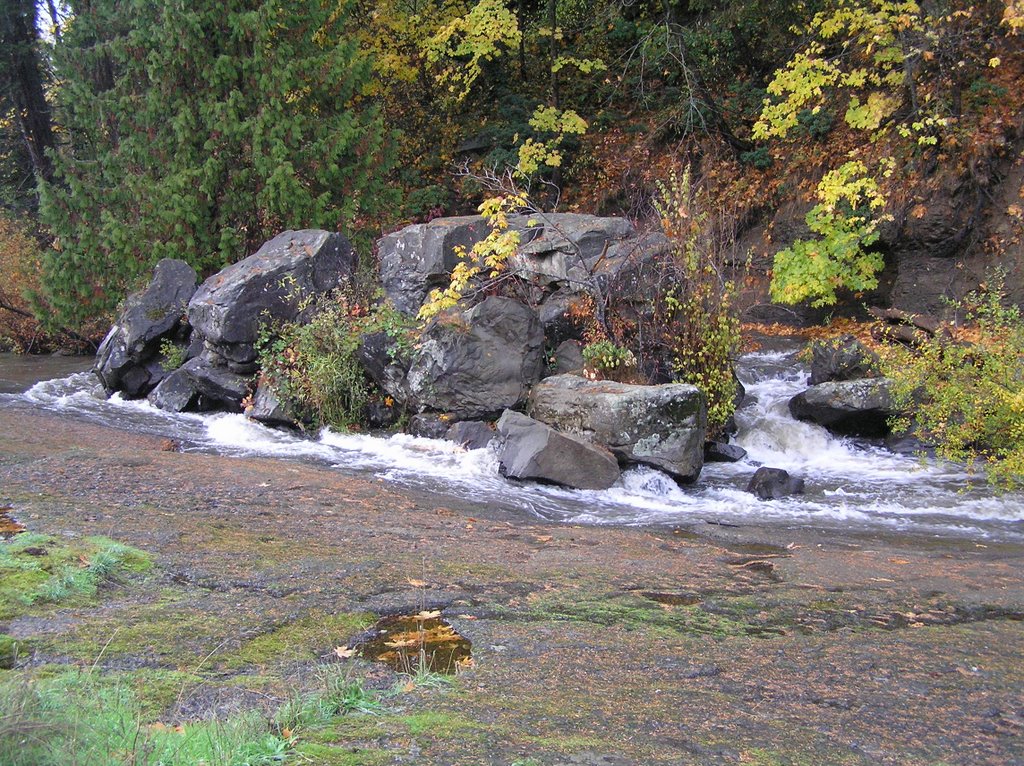 Millstone  River in Bowen Park, Нанаимо