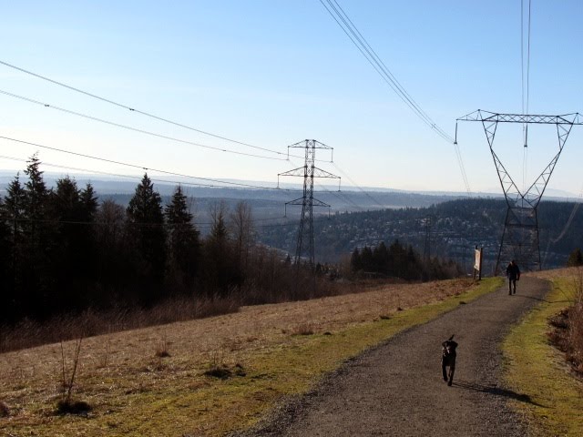 Looking South from Eagle Ridge trail at Eagle Mountain Drive, Порт-Муди