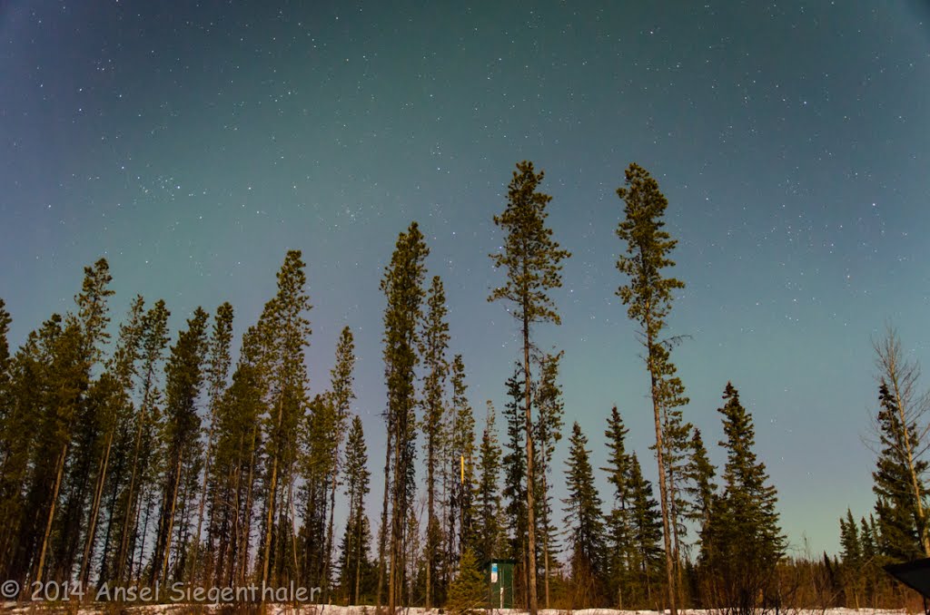 Starry night sky at Co-op Lake, Принц-Джордж