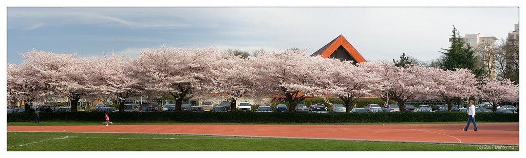 Cherry Blossoms in Richmond, Ричмонд