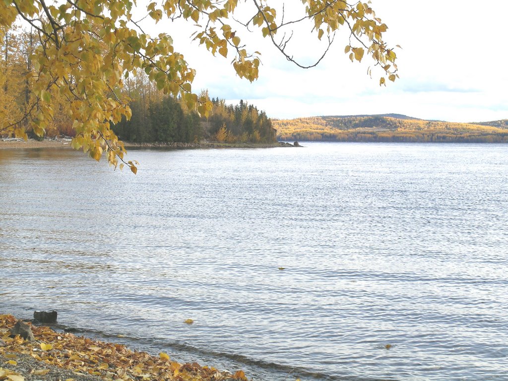 Francois Lake in fall, Сарри