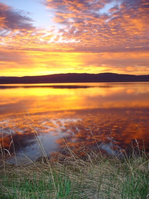 Francois Lake Sunrise, Сарри