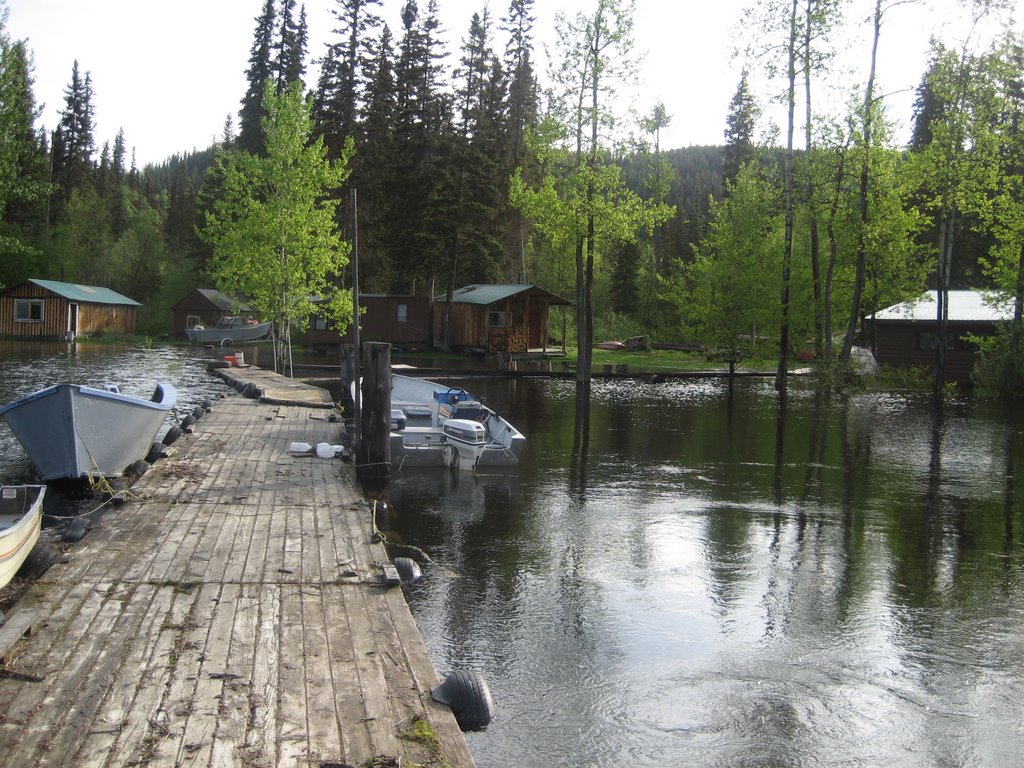Midle River Camp, Сарри
