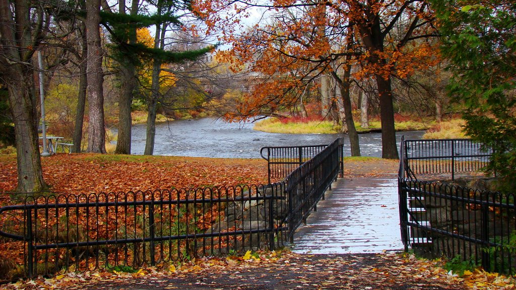 Pont des îles du Parc Woodyatt en automne, Драммондвилл