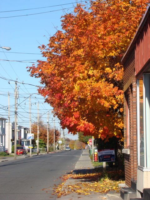 Rue Notre-Dame à Drummondville, Драммондвилл