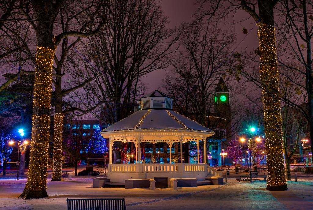 Gage Park Christmas Lights, Брамптон