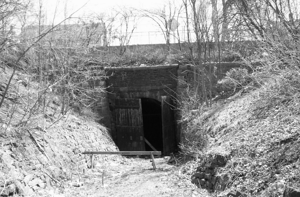 Railway Tunnel North Entrance, Броквилл
