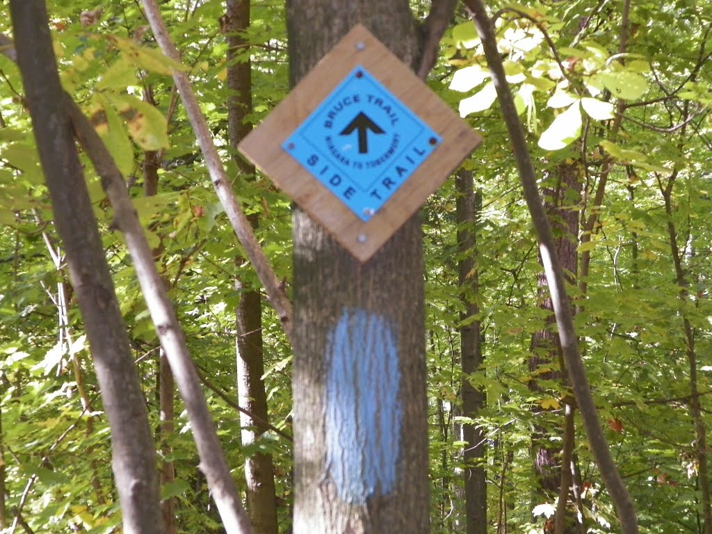 Bruce trail sign, Гримсби