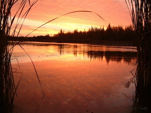 Laurier Woods Sunrise North Bay ON, Норт-Бэй
