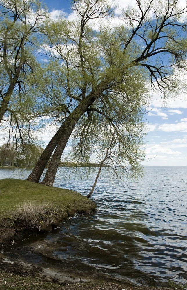 Orillia - Lake Simcoe from Kitchener Park, Ориллиа