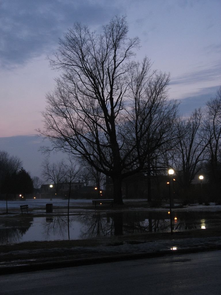 Reflecting pond - March 2007, Оттава