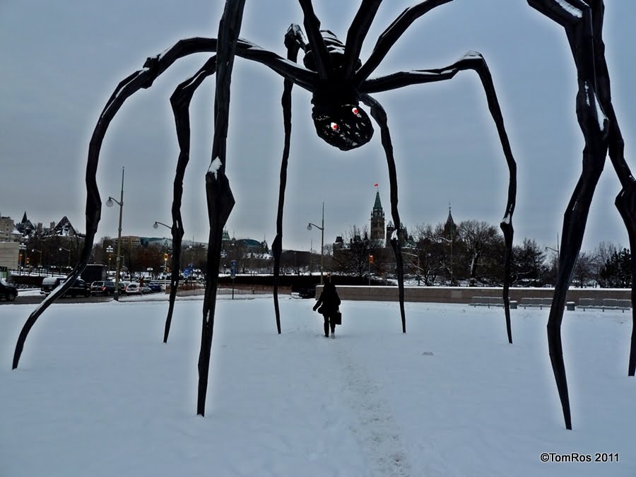 Monument to Canadian Mosquito - Life Size (Anopheles maculipennis), Оттава
