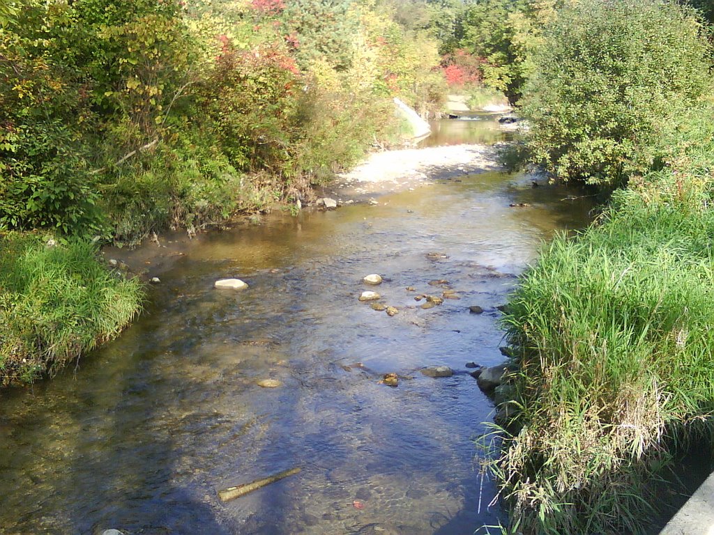 Harmony Creek, Ошава